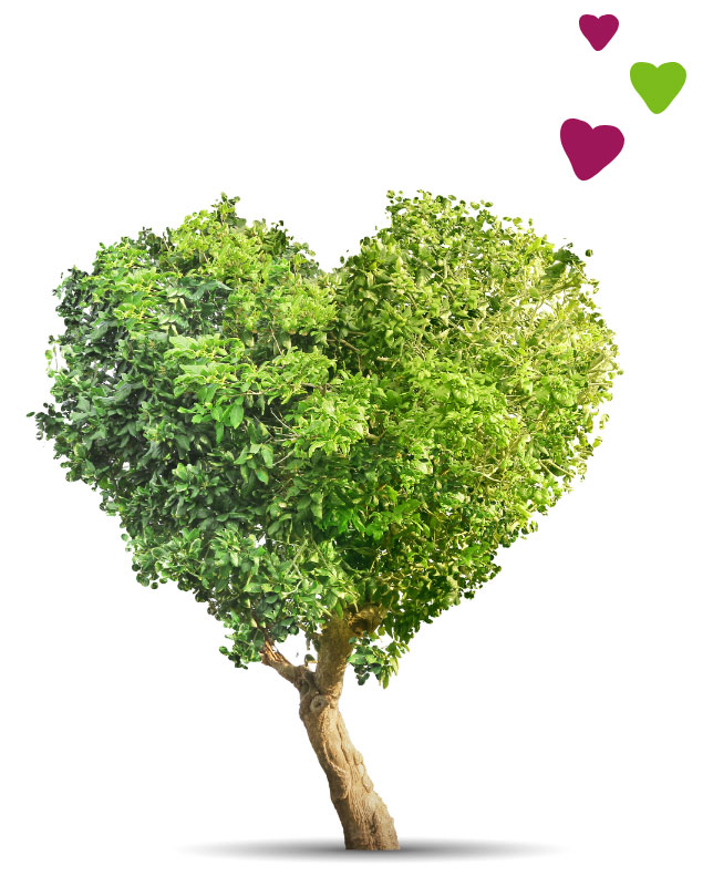 Heart of Sustainable Products_Tree