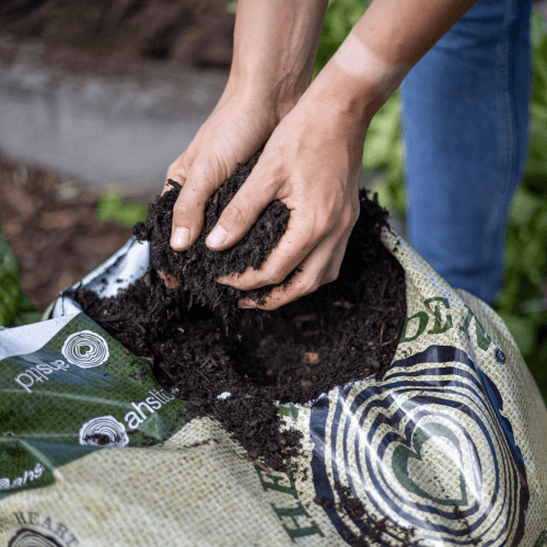 Heart of Eden_Heart of Eden_All purpose compost-2