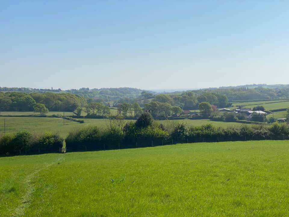 Farm landscape