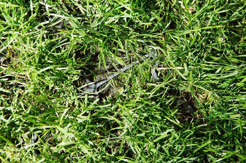 paving grid through grass