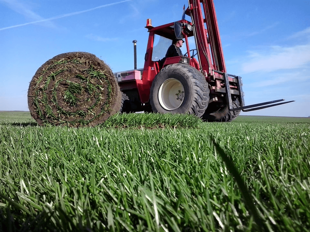 Tractor Rolling Turf