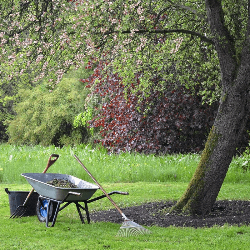 Wheelbarrow